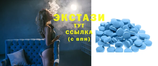 крисы Козельск