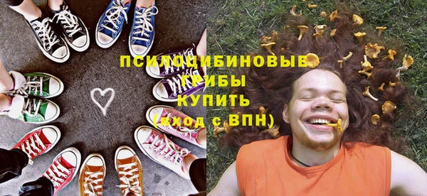 ПСИЛОЦИБИНОВЫЕ ГРИБЫ Киреевск